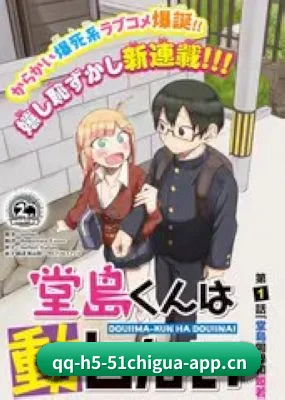 全新启航